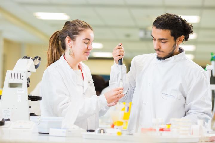 A male and female student in a biomedical sciences laboratory.